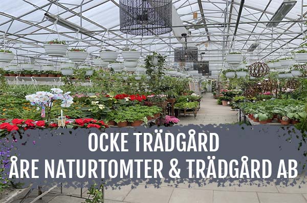 ocketradgord
